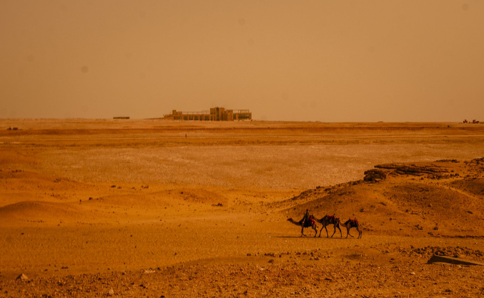 Cientistas exploravam uma região hoje coberta pelo deserto do Egito quando encontraram dentes de sete espécies de tubarões que viveram ali há mais de 66 milhões de anos, revelando que o local já foi um mar 3 Camelos atravessam uma vasta paisagem desértica com um edifício distante no horizonte.