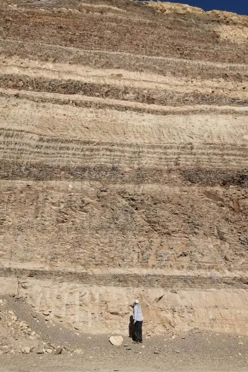 Cientistas exploravam uma região hoje coberta pelo deserto do Egito quando encontraram dentes de sete espécies de tubarões que viveram ali há mais de 66 milhões de anos, revelando que o local já foi um mar 2 cientistas exploravam uma regiao hoje coberta pelo dese 1