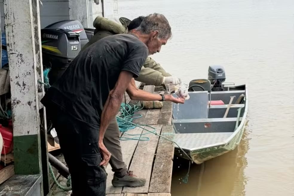 Ele desapareceu em uma floresta no Amazonas e passou 25 dias sem conseguir encontrar o caminho de volta: após uma longa operação de busca, equipes de resgate finalmente localizaram o homem 1 ele desapareceu em uma floresta no amazonas e passou 25 1