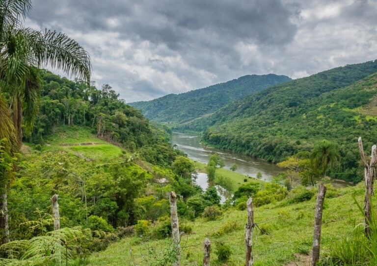 Ele desapareceu em uma floresta no Amazonas e passou 25 dias sem conseguir encontrar o caminho de volta: após uma longa operação de busca, equipes de resgate finalmente localizaram o homem