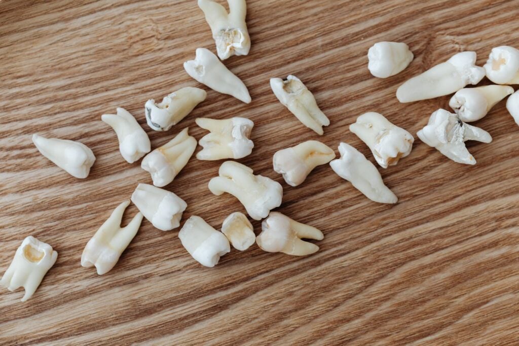 Menino achou um dente sem imaginar o que havia encontrado, mas análise da peça abriu uma nova pista sobre um naufrágio ocorrido há cerca de 300 anos e pode revelar onde algumas vítimas foram enterradas