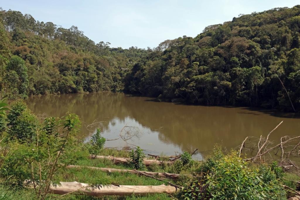 Moradores questionam abandono de área destinada ao Parque Municipal Poço D’Anta 4 parque poco danta