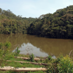 parque poco danta