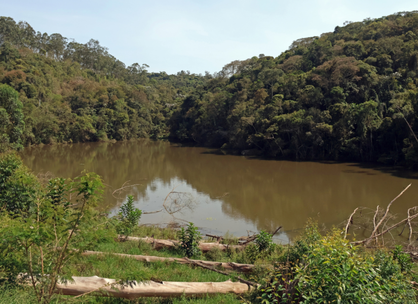parque poco danta