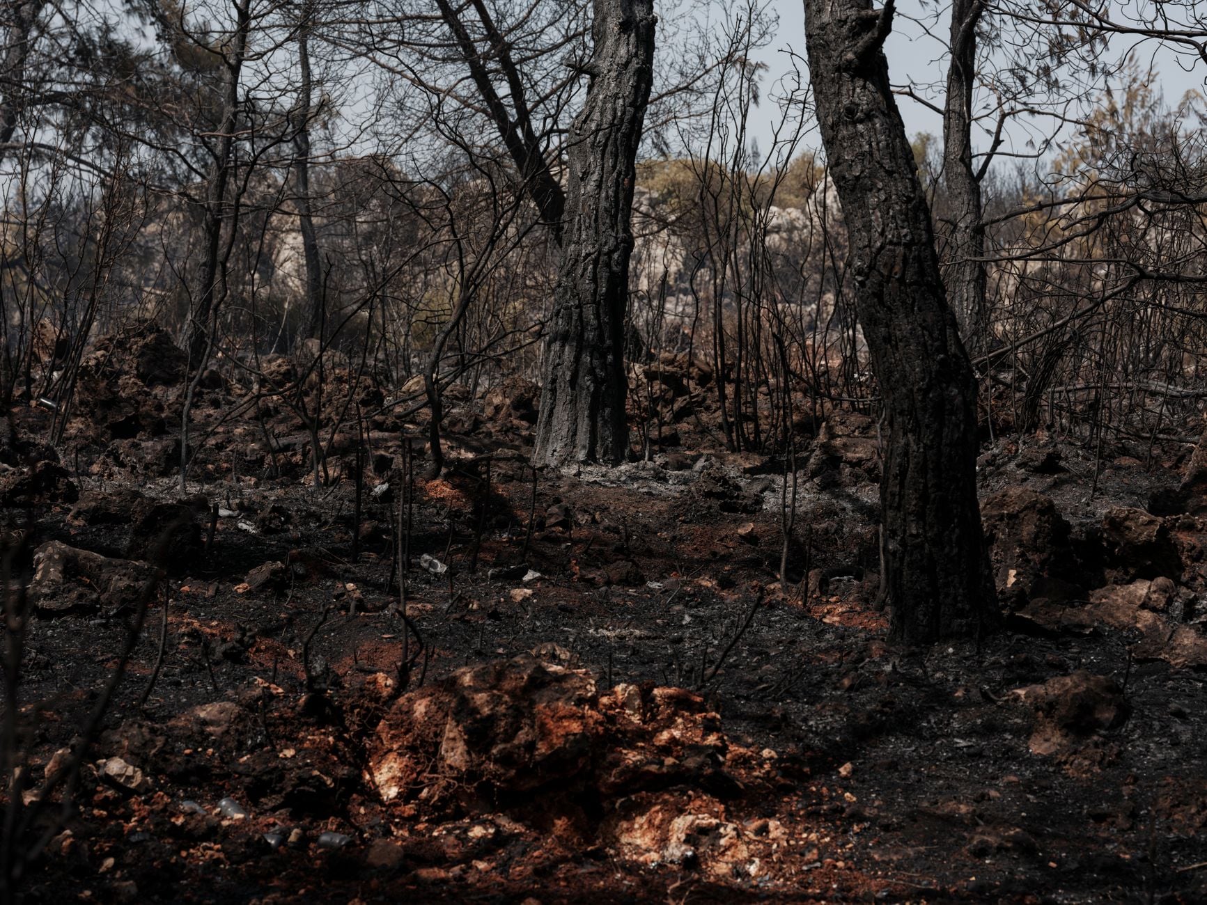 Próximo presidente do Brasil terá pela frente um problema que já afeta milhões de pessoas e pode se tornar ainda mais grave nos próximos anos 2 Uma cena dramática de uma floresta queimada após um incêndio florestal com árvores e solo carbonizados.
