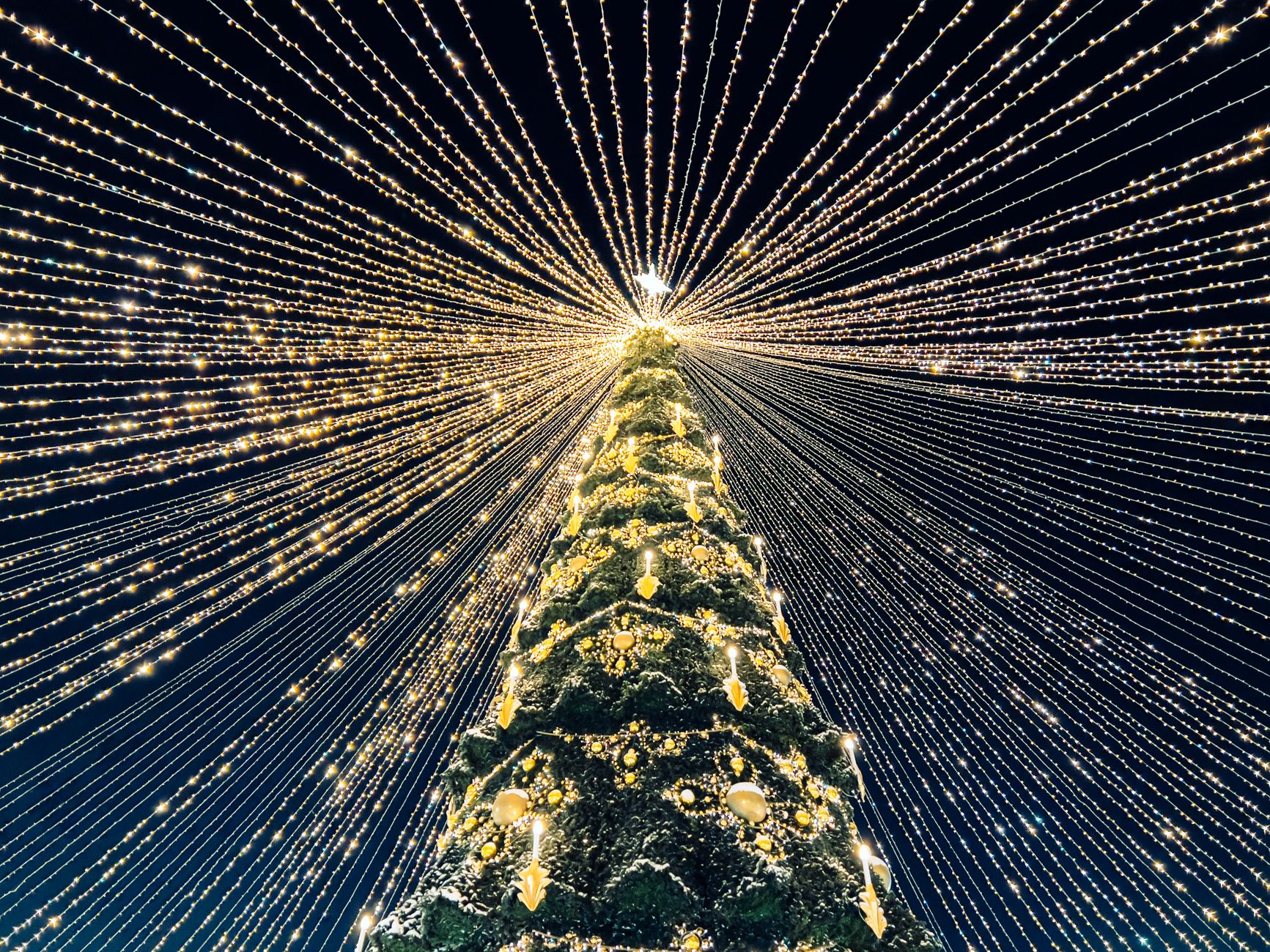 Uma árvore de Natal lindamente iluminada com luzes festivas radiantes contra um céu noturno.